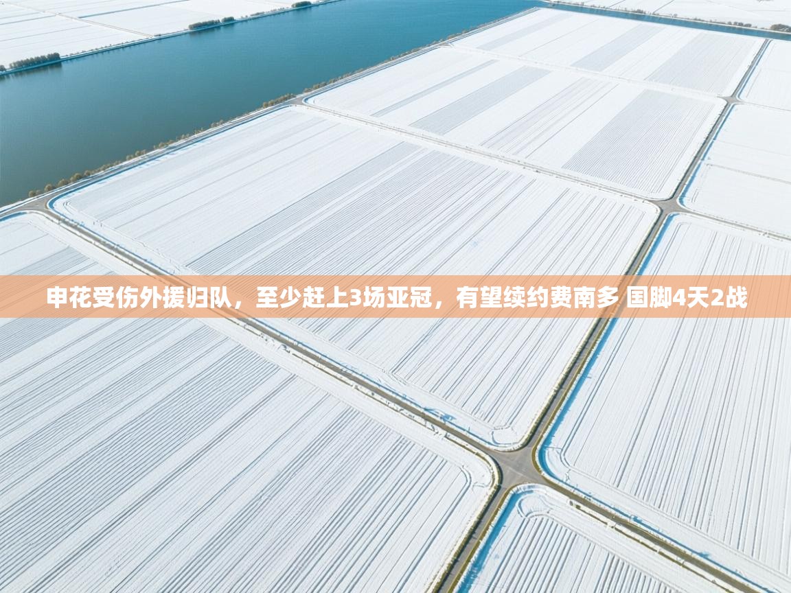 申花受伤外援归队,至少赶上3场亚冠,有望续约费南多 国脚4天2战 第2张