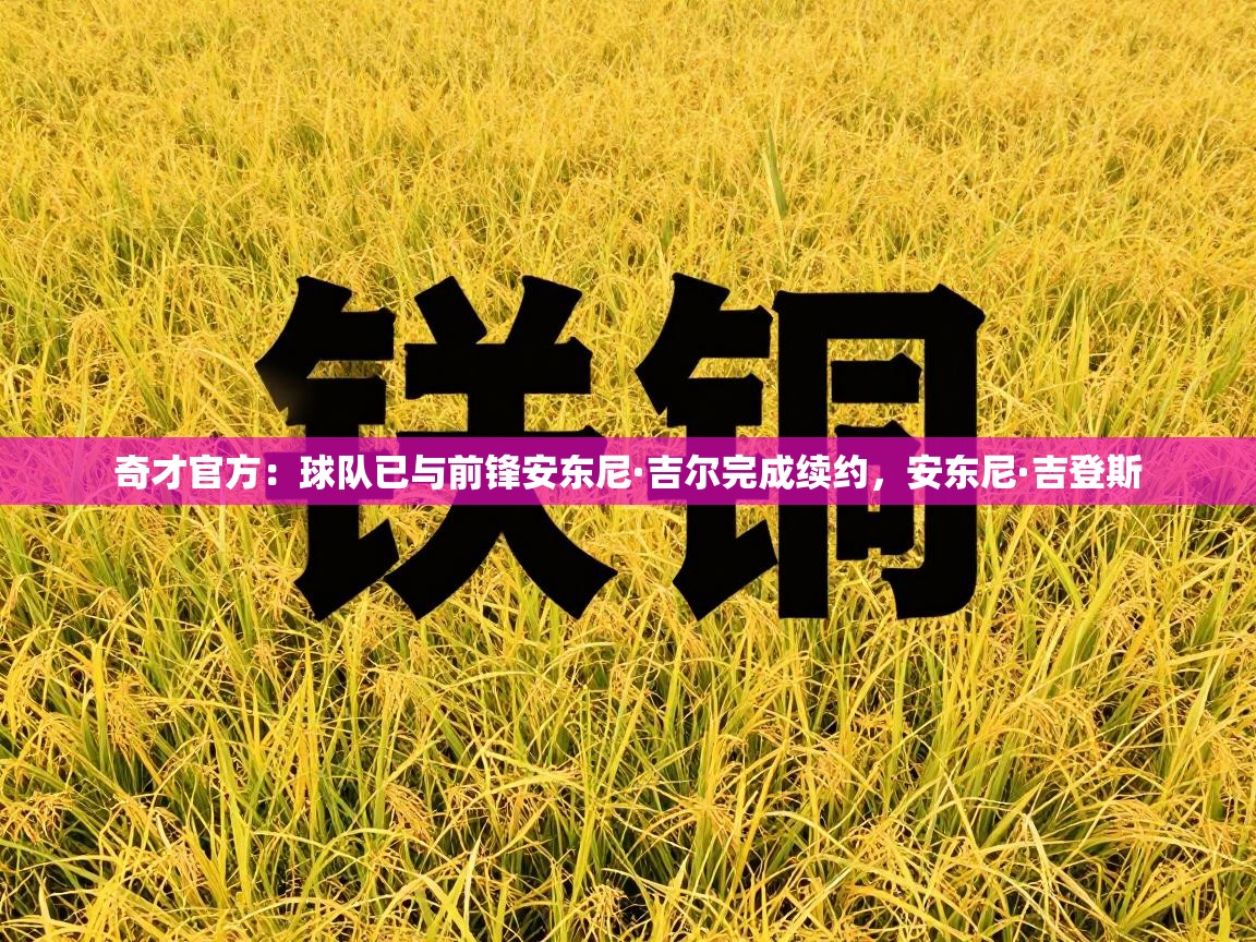 奇才官方：球队已与前锋安东尼·吉尔完成续约，安东尼·吉登斯  第2张