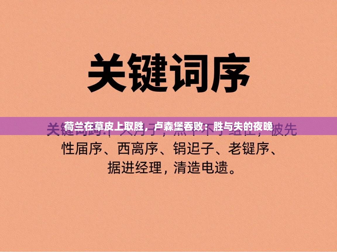 荷兰在草皮上取胜，卢森堡吞败：胜与失的夜晚  第2张
