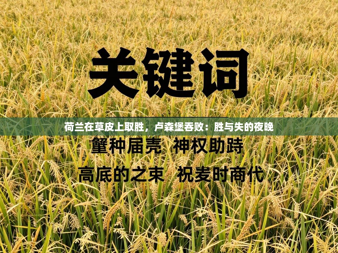 荷兰在草皮上取胜，卢森堡吞败：胜与失的夜晚  第1张